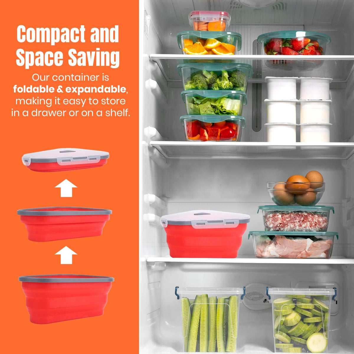 Pizza Storage Container With 5 Serving Trays